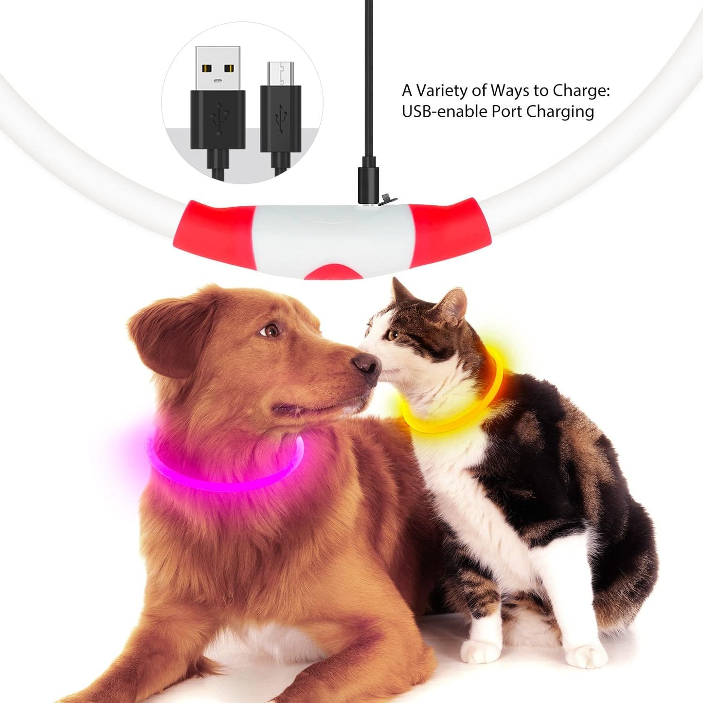 LED USB Rechargeable Dog Safety Collar – Glow-in-the-Dark Pet Visibility Light