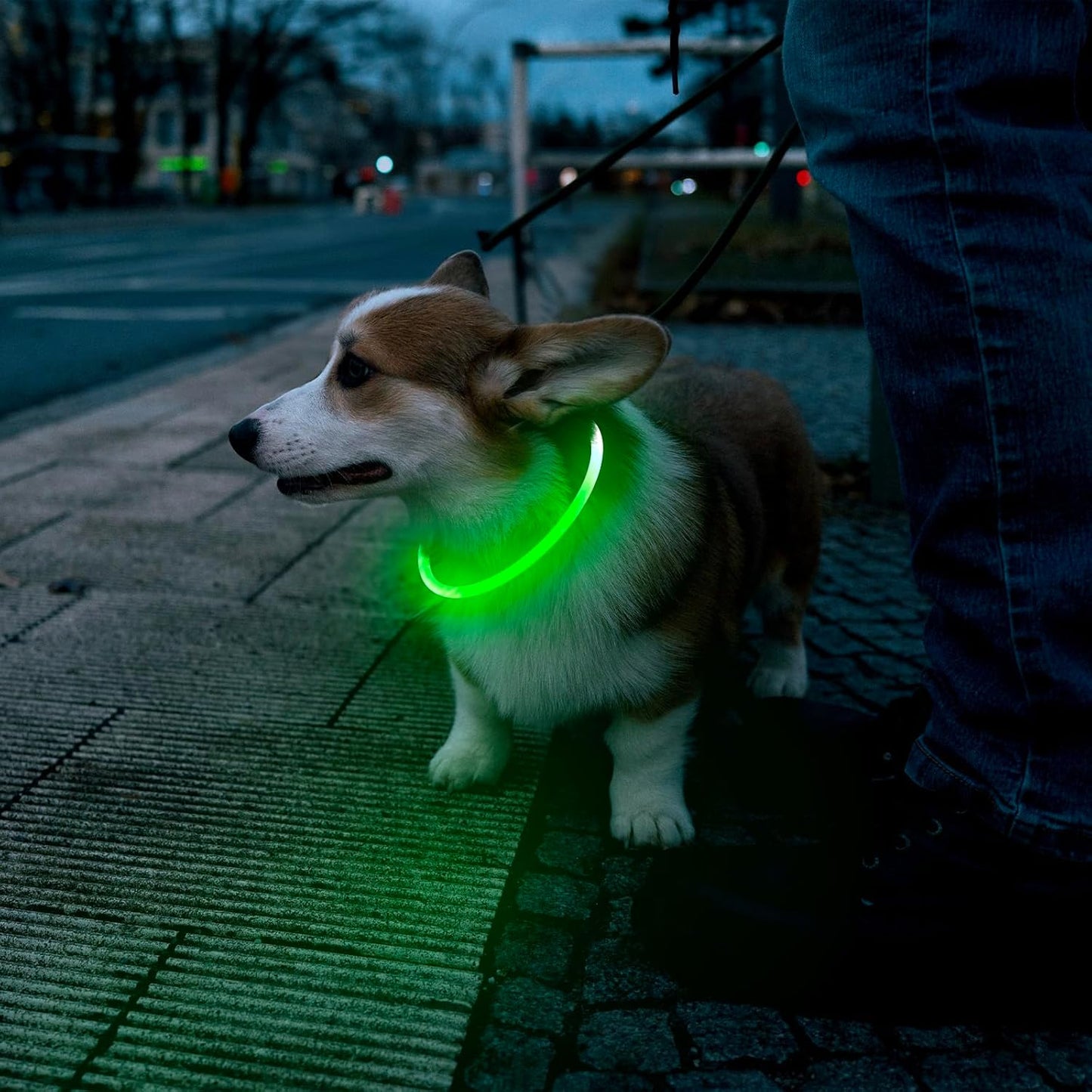 LED USB Rechargeable Dog Safety Collar – Glow-in-the-Dark Pet Visibility Light