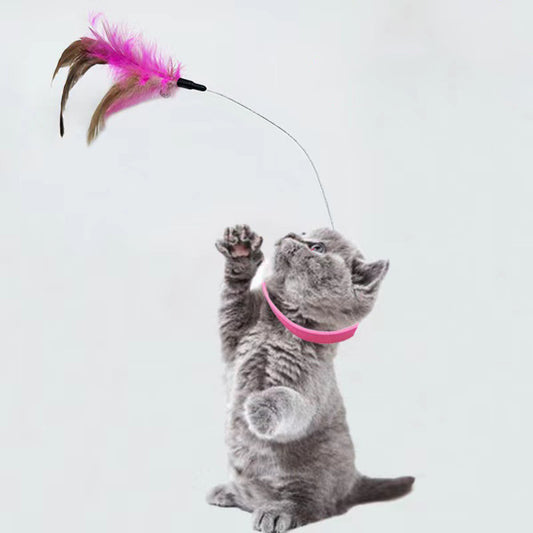 Interactive Cat Feather Wand Toy with Bell