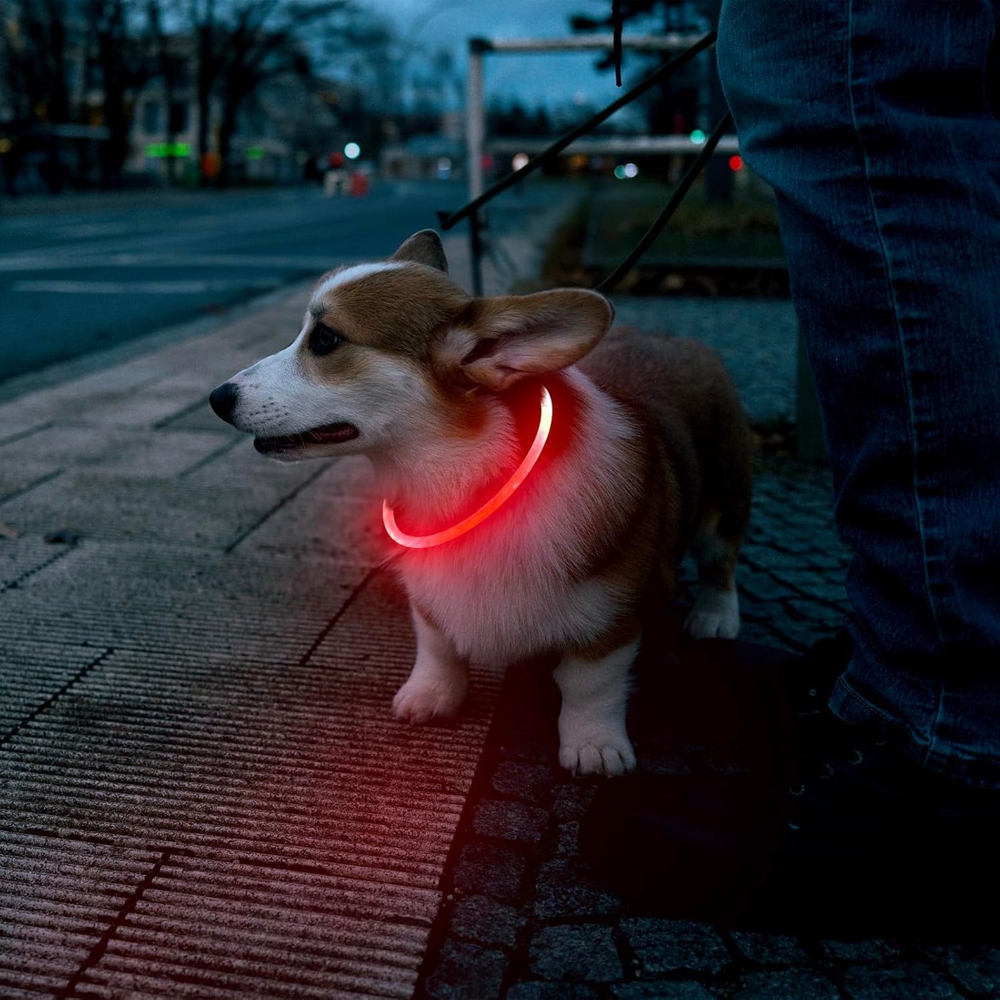 LED USB Rechargeable Dog Safety Collar – Glow-in-the-Dark Pet Visibility Light