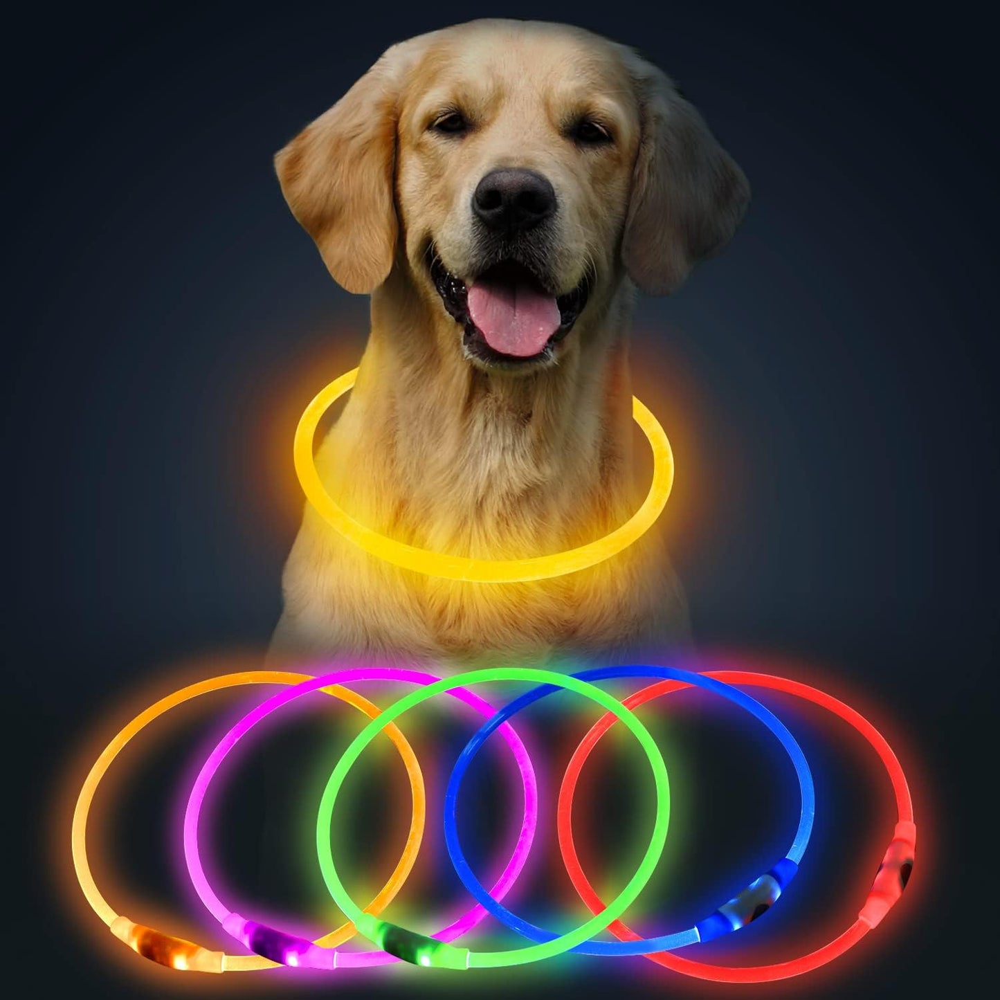 LED USB Rechargeable Dog Safety Collar – Glow-in-the-Dark Pet Visibility Light