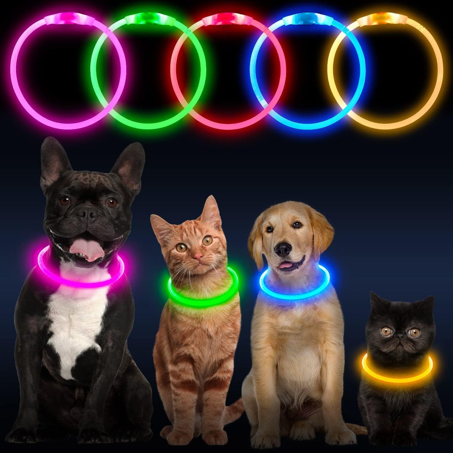 LED USB Rechargeable Dog Safety Collar – Glow-in-the-Dark Pet Visibility Light